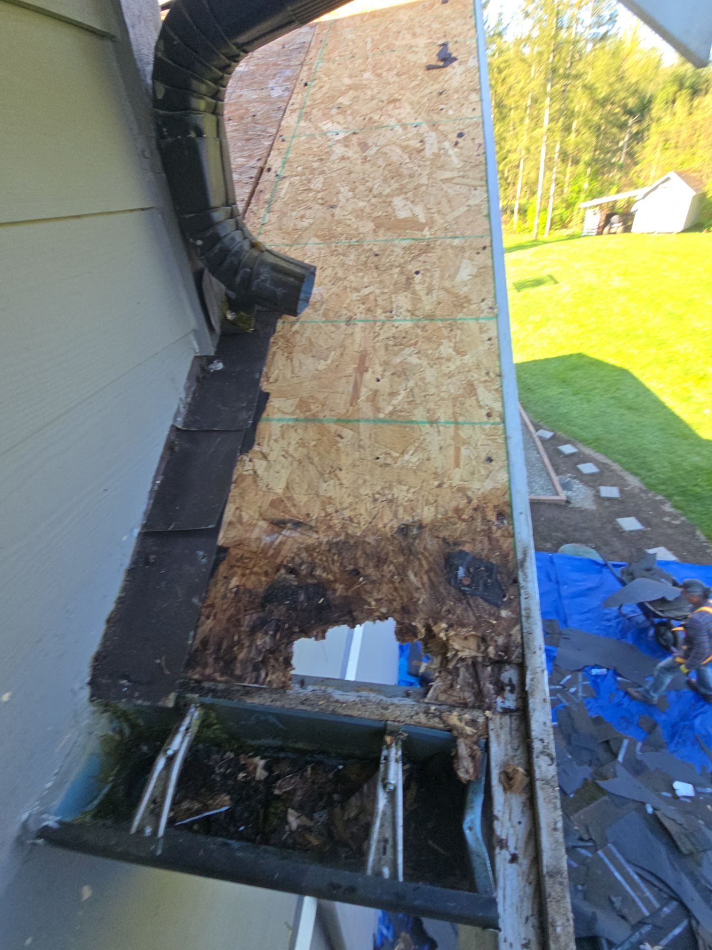 Amor Roofing site documentation: substrate preparation for Charcoal asphalt shingle install in Lake Stevens, WA