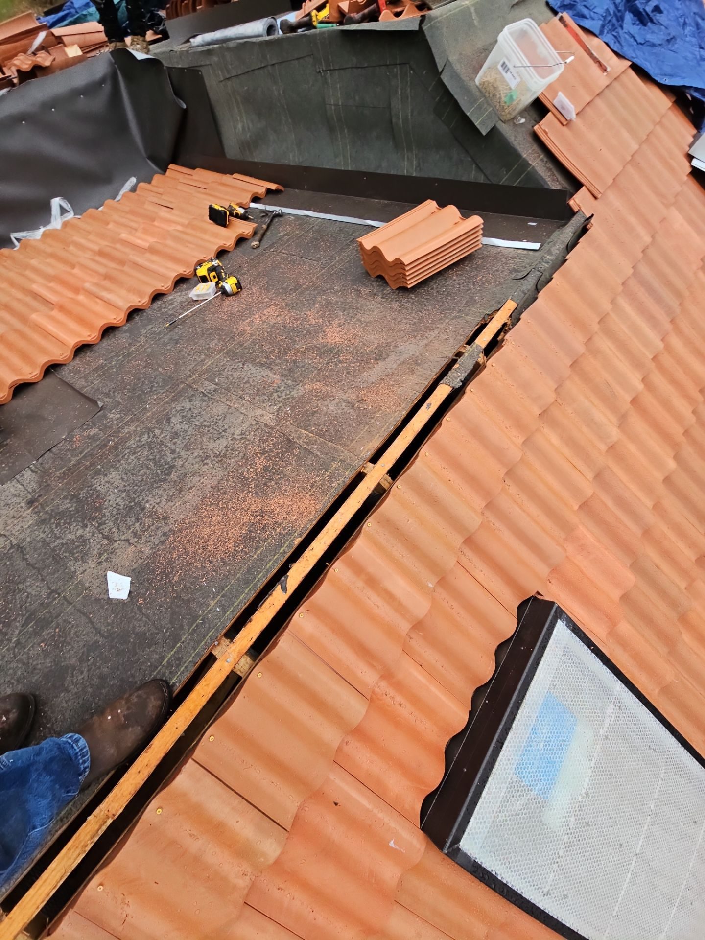 Inspection photo: roof condition before Amor Roofing install in Camano Island, WA