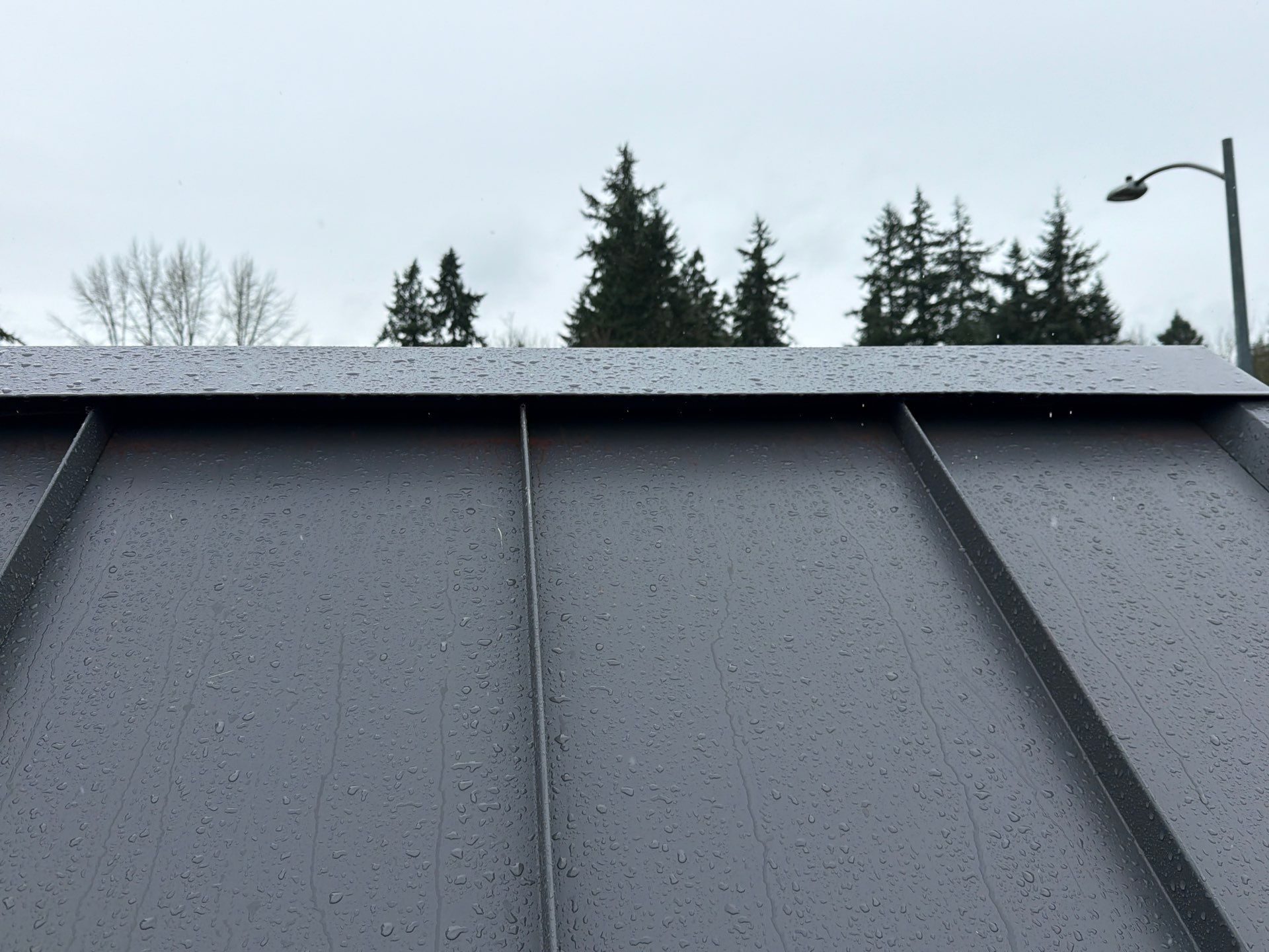 Close-up of Cascade Gray standing seam metal roof finish in Woodinville, WA